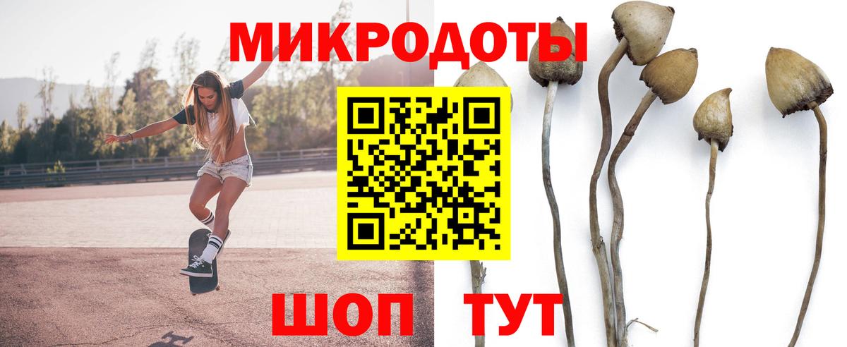 Псилоцибиновые грибы мухоморы Кимры